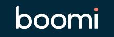 Boomi - Top Veeva Solutions Companies Boomi